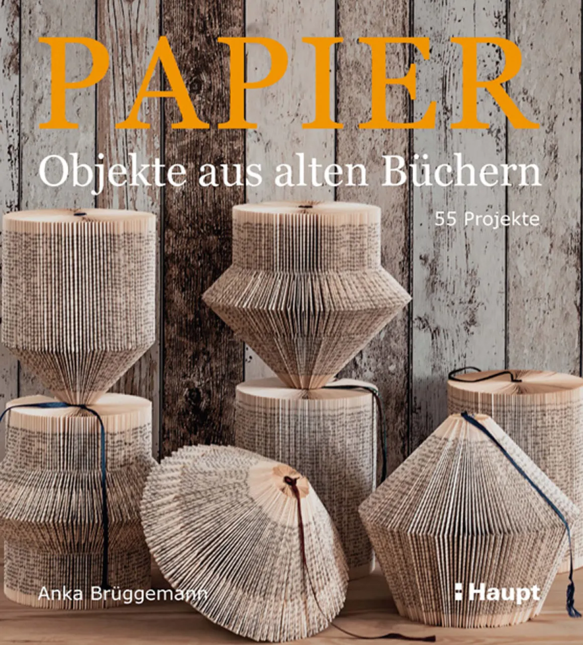 Papier-Objekte aus alten Büchern. 55 Projekte.