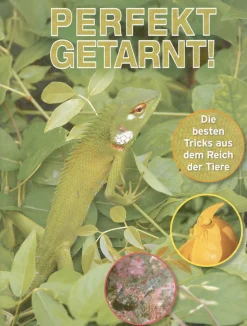 Perfekt getarnt! Die besten Tricks aus dem Reich der Tiere.