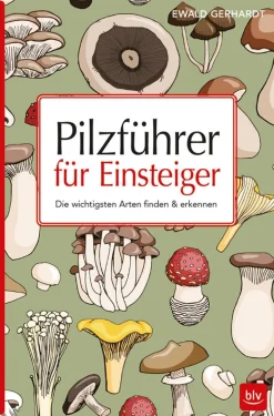 Pilzführer für Einsteiger - Die wichtigsten Arten finden & erkennen