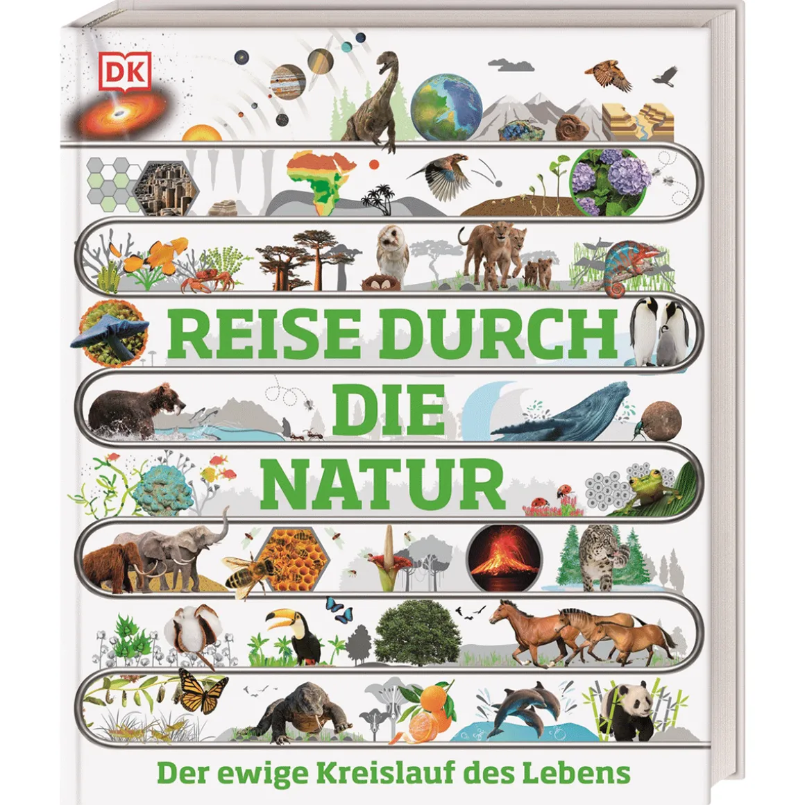 Reise durch die Natur. Der ewige Kreislauf des Lebens.