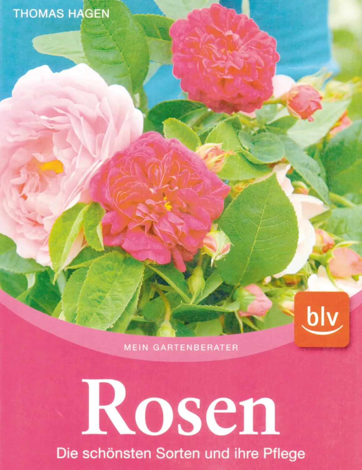 Rosen. Die schönsten Sorten und ihre Pflege.