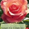 Rosen für Einsteiger. Die schönsten Sorten und ihre Pflege.