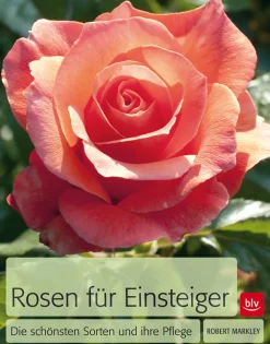 Rosen für Einsteiger. Die schönsten Sorten und ihre Pflege.