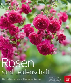 Rosen sind Leidenschaft! Die Geheimnisse echter Rosenkenner.