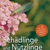 Schädlinge und Nützlinge im Garten.