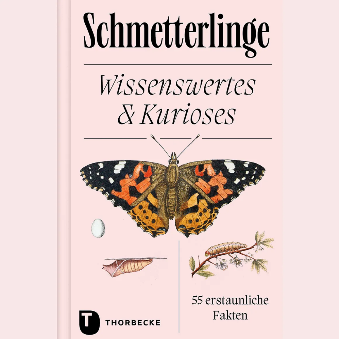 Schmetterlinge. Wissenswertes & Kurioses. 55 erstaunliche Fakten.