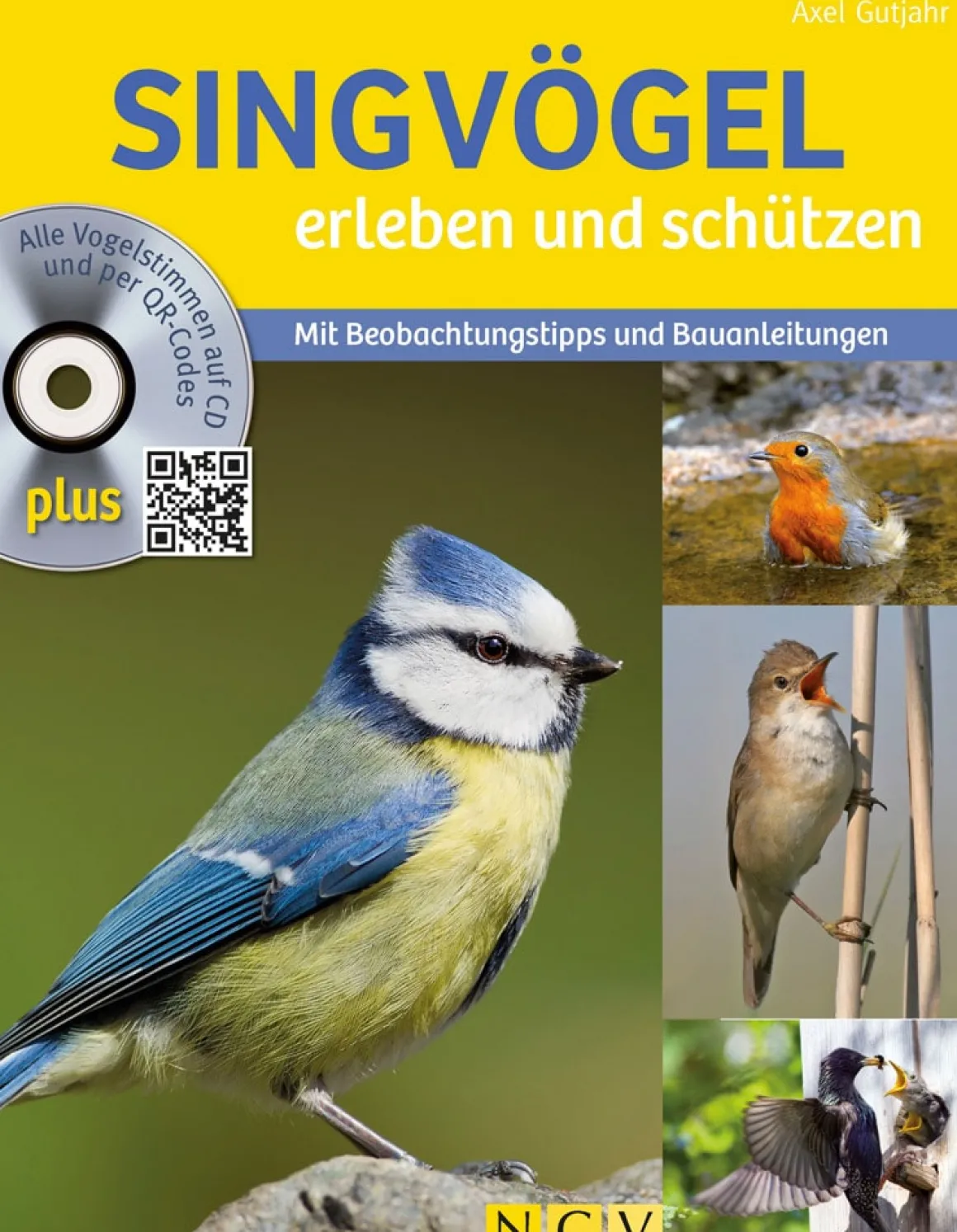 Singvögel erleben und schützen. Mit Beobachtungstipps und Bauanleitungen.