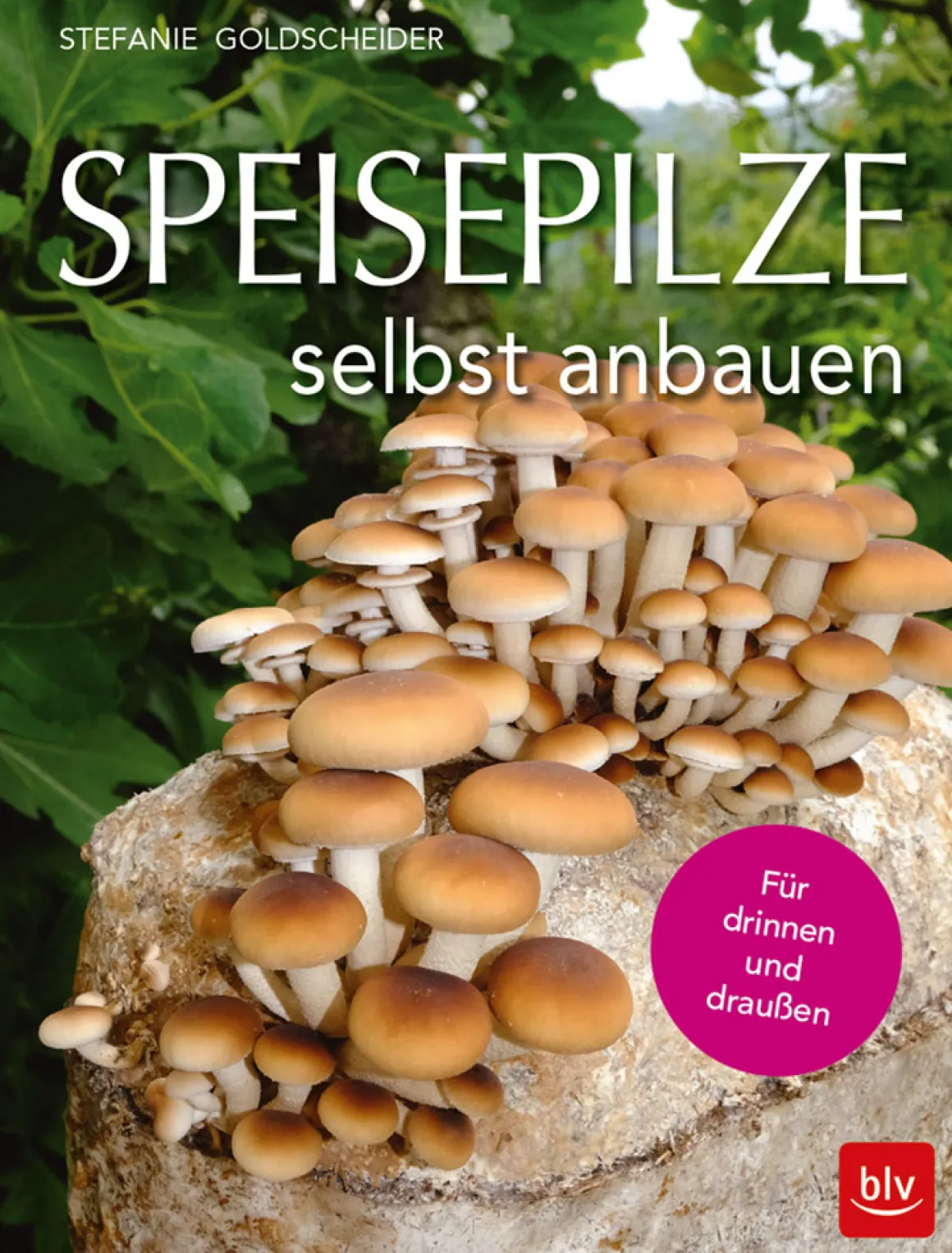 Speisepilze selbst anbauen. Für drinnen und draußen.