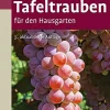Tafeltrauben für den Hausgarten.