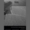 The Evolution of Ivanpah Solar.