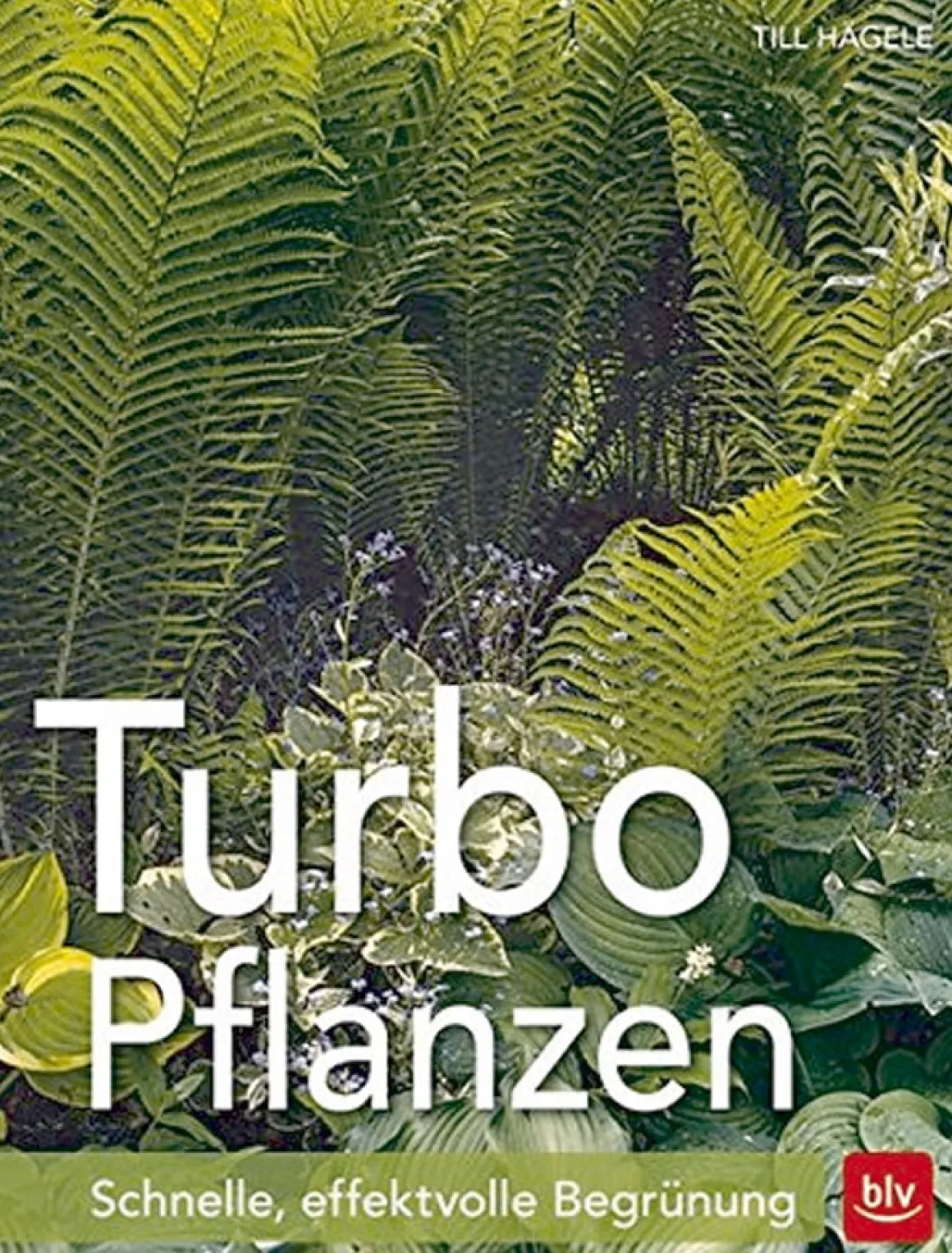 Turbo-Pflanzen. Schnelle, effektvolle Begrünung.