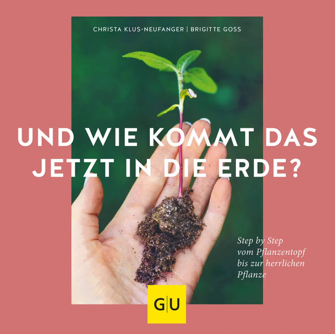Und wie kommt das jetzt in die Erde? Step by Step vom Pflanztopf bis zur herrlichen Pflanze.