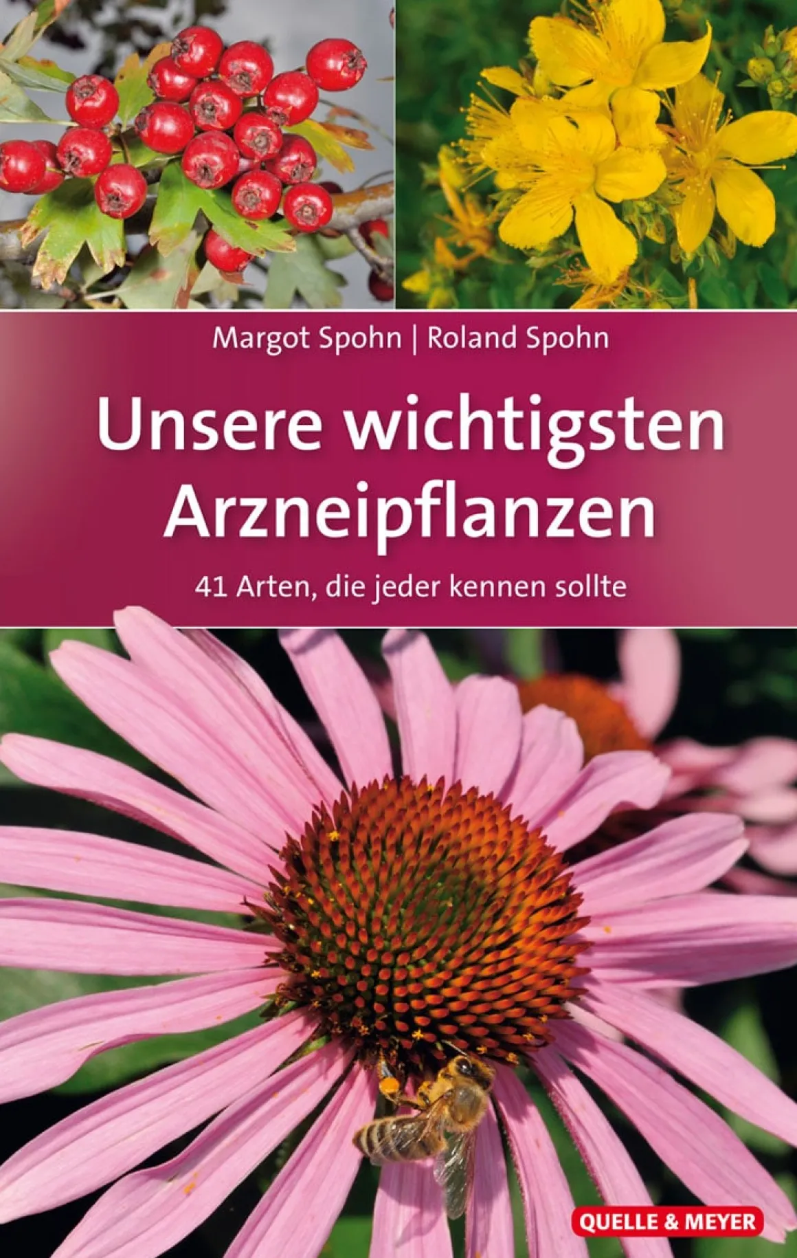 Unsere wichtigsten Arzneipflanzen. 41 Arten, die jeder kennen sollte.
