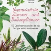Unverwüstliche Zimmer- und Balkonpflanzen. 50 Überlebenskünstler, die mit fast gar nichts auskommen.
