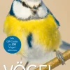 Vögel - Bestimmen in drei Schritten
