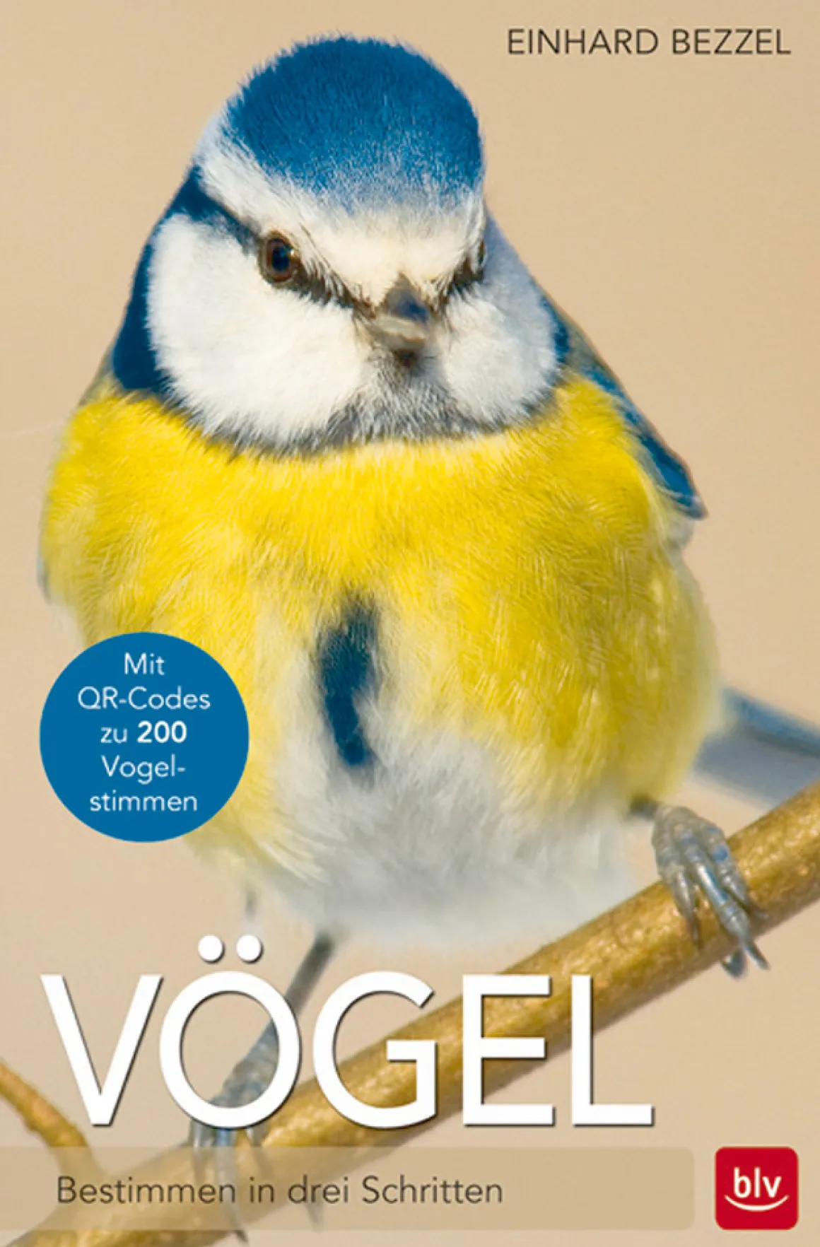 Vögel - Bestimmen in drei Schritten