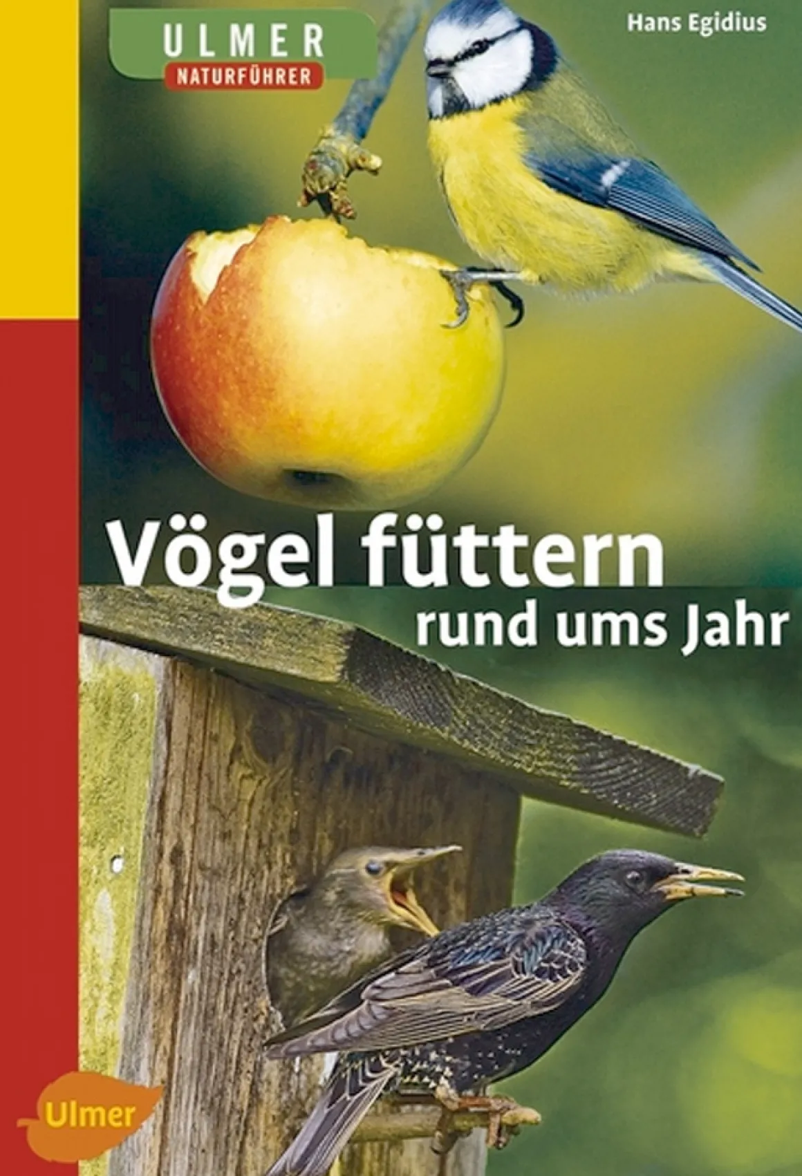 Vögel füttern rund ums Jahr
