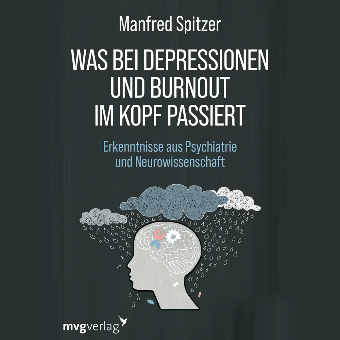 Was bei Depressionen und Burnout im Kopf passiert.