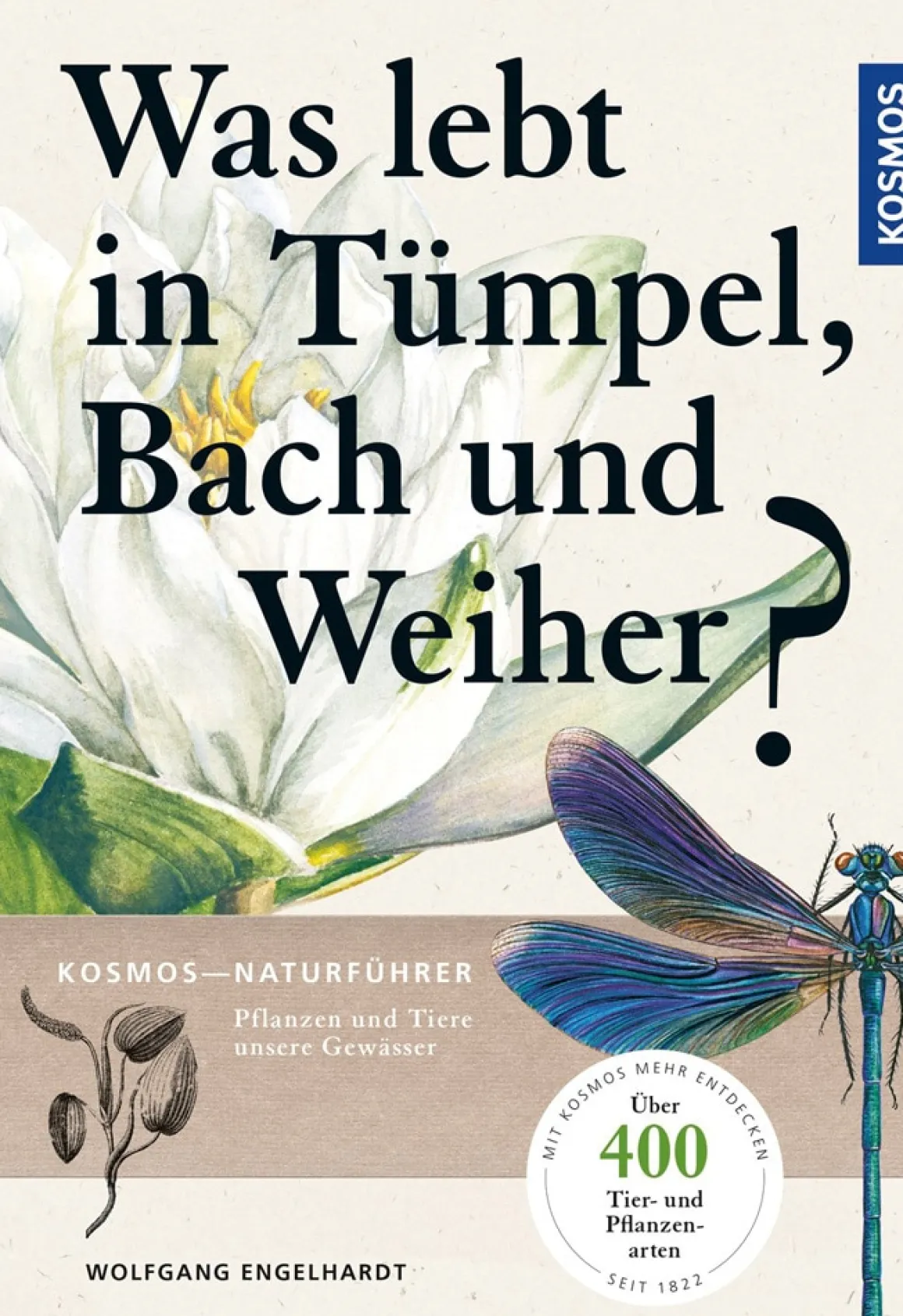 Was lebt in Tümpel, Bach und Weiher? Pflanzen und Tiere unserer Gewässer.