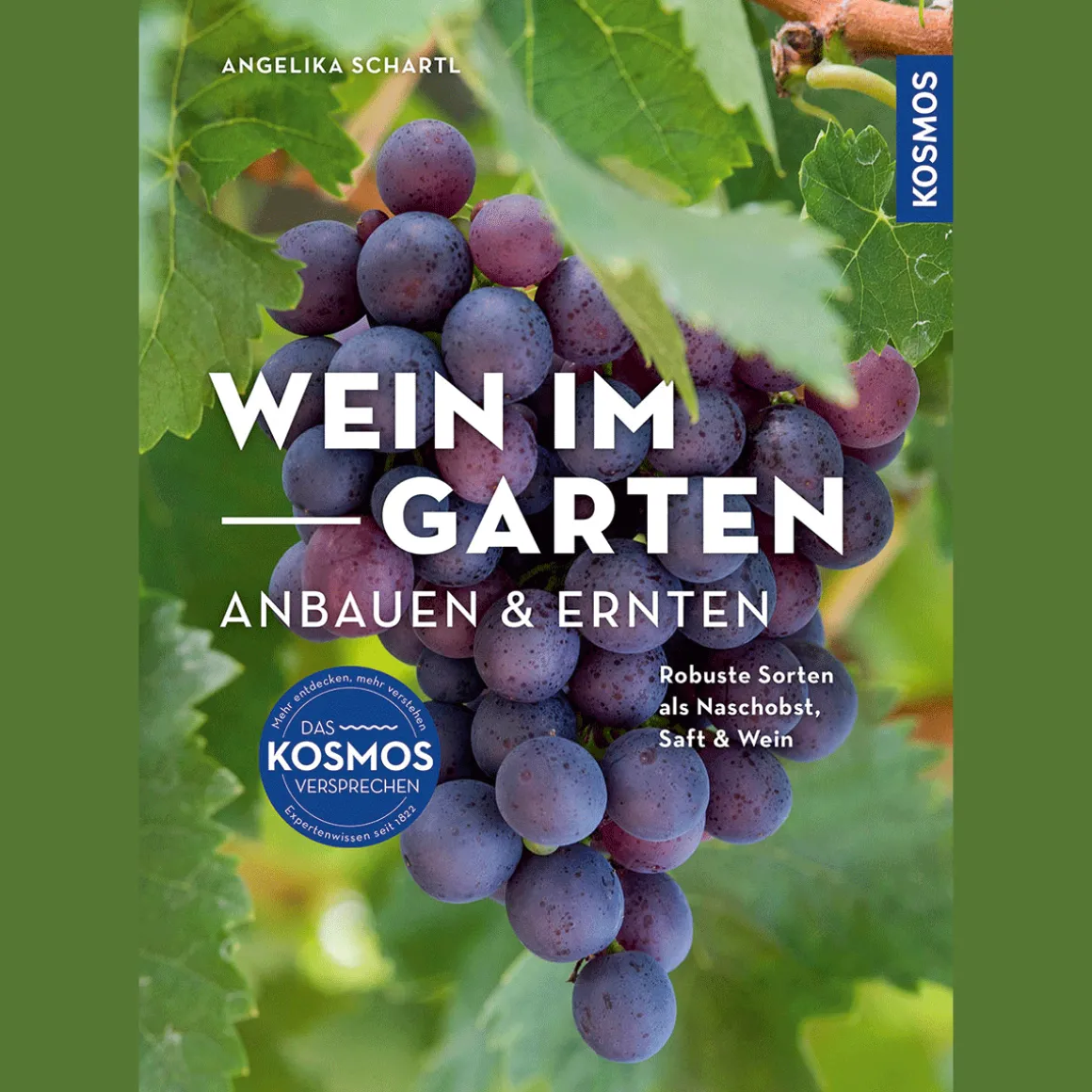 Wein im Garten anbauen & ernten. Robuste Sorten als Naschobst, Saft & Wein.