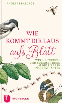 Wie kommt die Laus aufs Blatt? Wissenswertes und Kurioses rund um die Tiere in unseren Gärten.