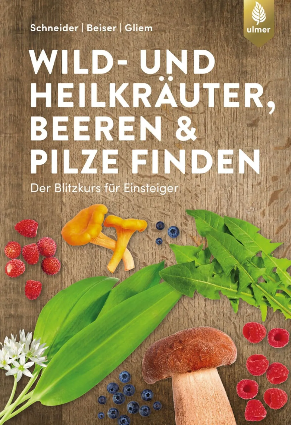 Wild- und Heilkräuter, Beeren und Pilze finden. Der Blitzkurs für Einsteiger.