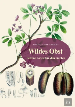 Wildes Obst. Seltene Arten für den Garten.