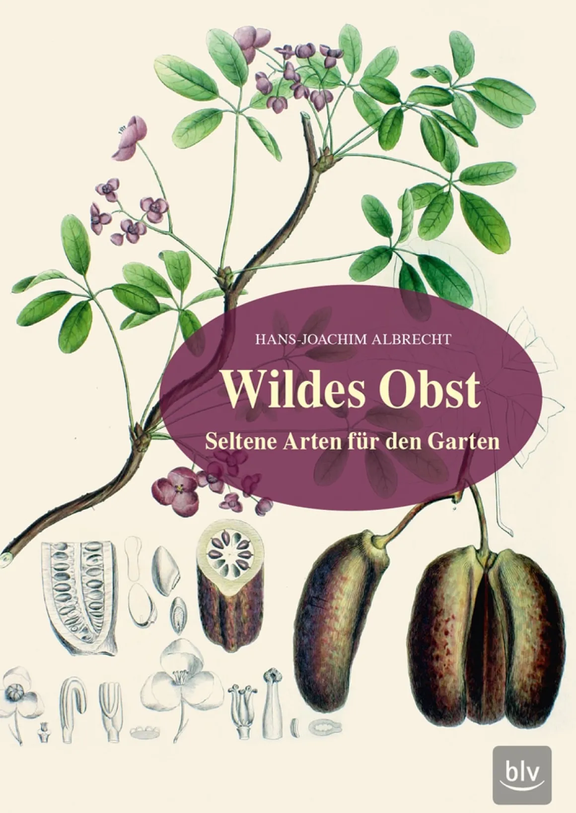 Wildes Obst. Seltene Arten für den Garten.