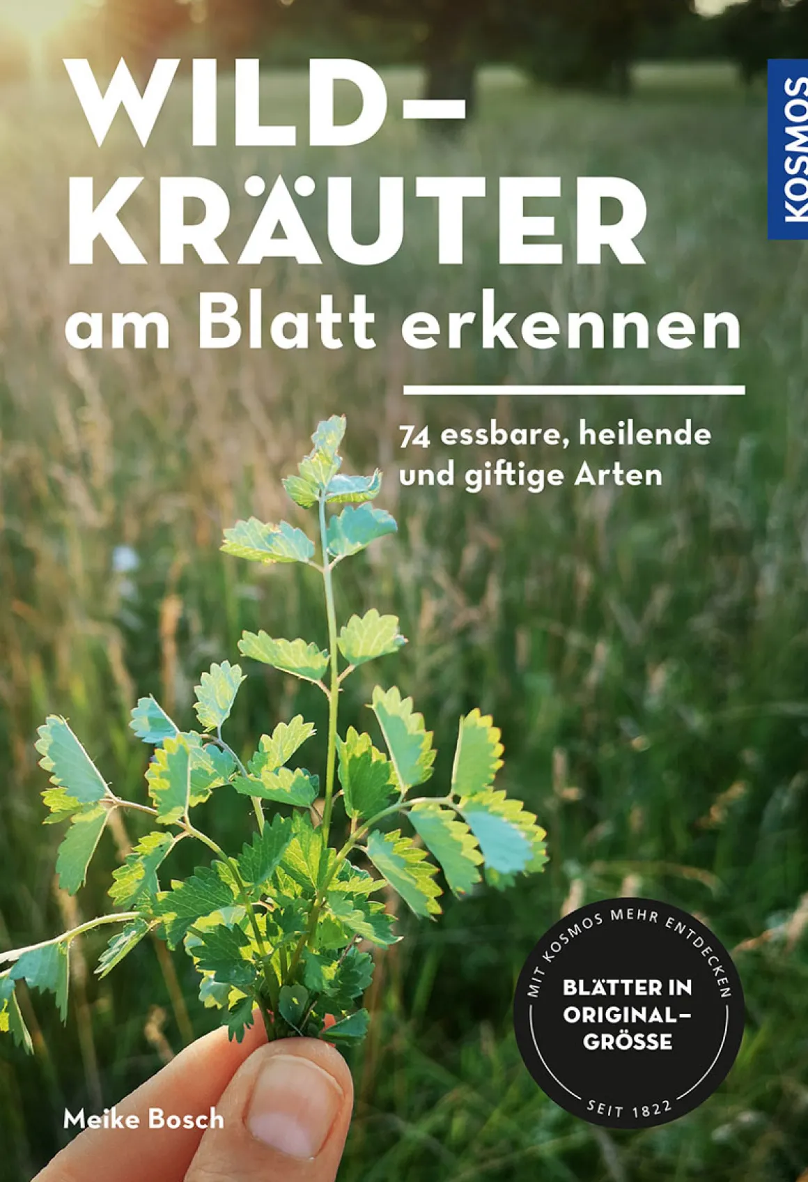 Wildkräuter am Blatt erkennen. 74 essbare, heilende und giftige Arten.
